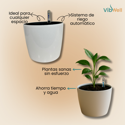 Maceta de Autorriego - Plantas siempre frescas sin esfuerzo