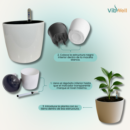 Maceta de Autorriego - Plantas siempre frescas sin esfuerzo