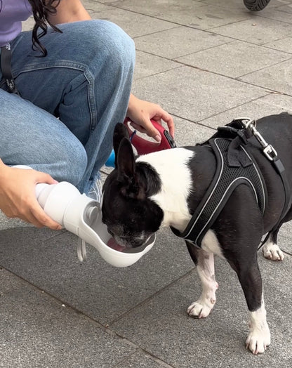 Botella Plegable Antiderrames para Perros